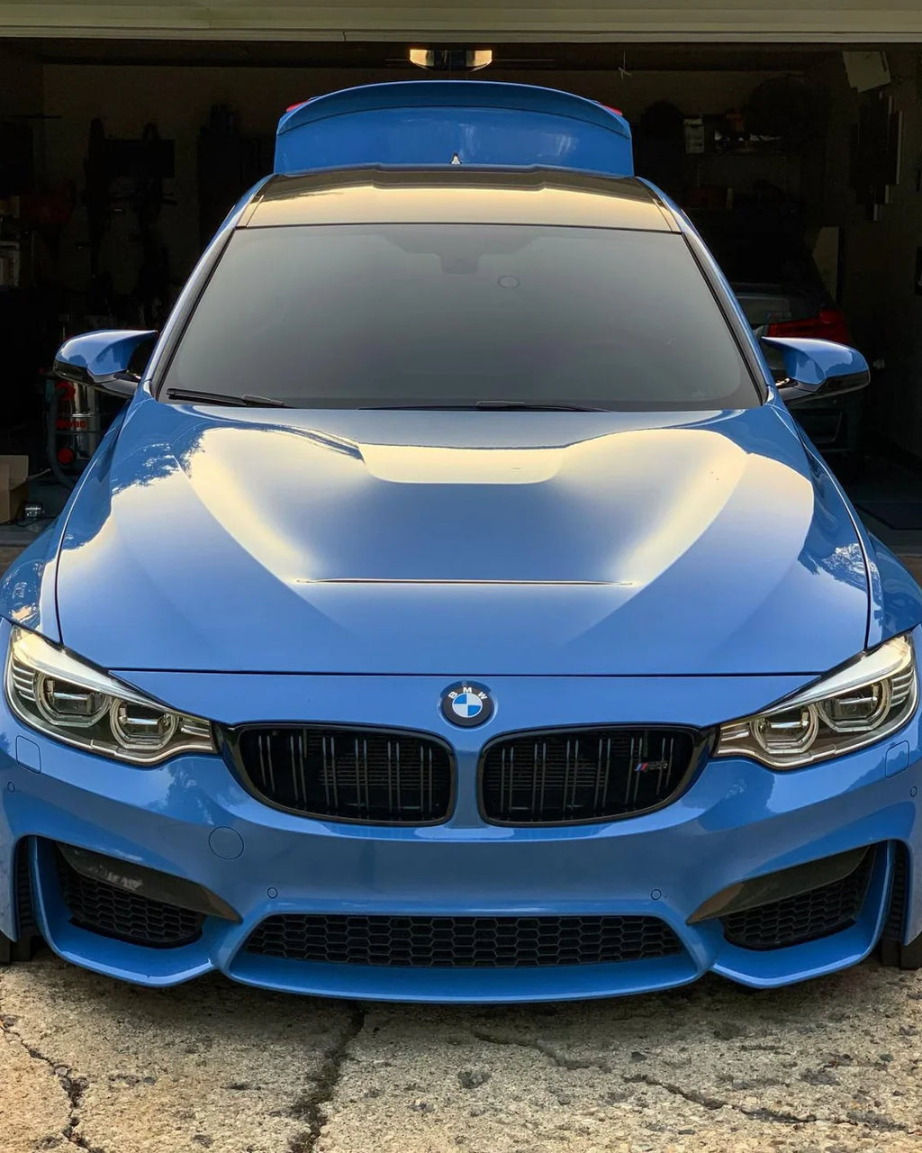BMW F30 / F80 M3 M4 - GTS Front Hood - Carbon Fiber / Forged
