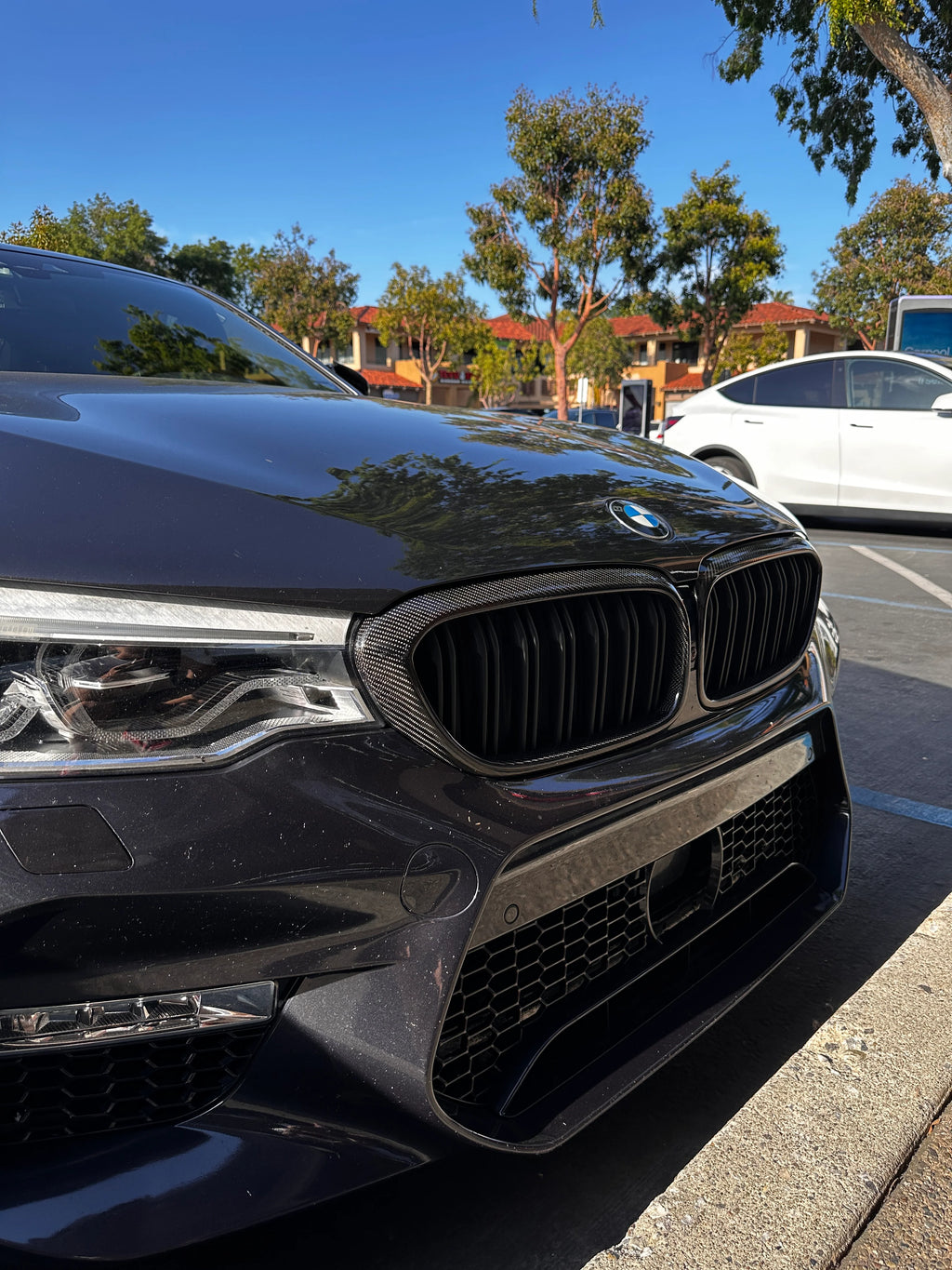 BMW M5 F90 Slat Grilles - Carbon Fiber (Pre LCI + LCI)