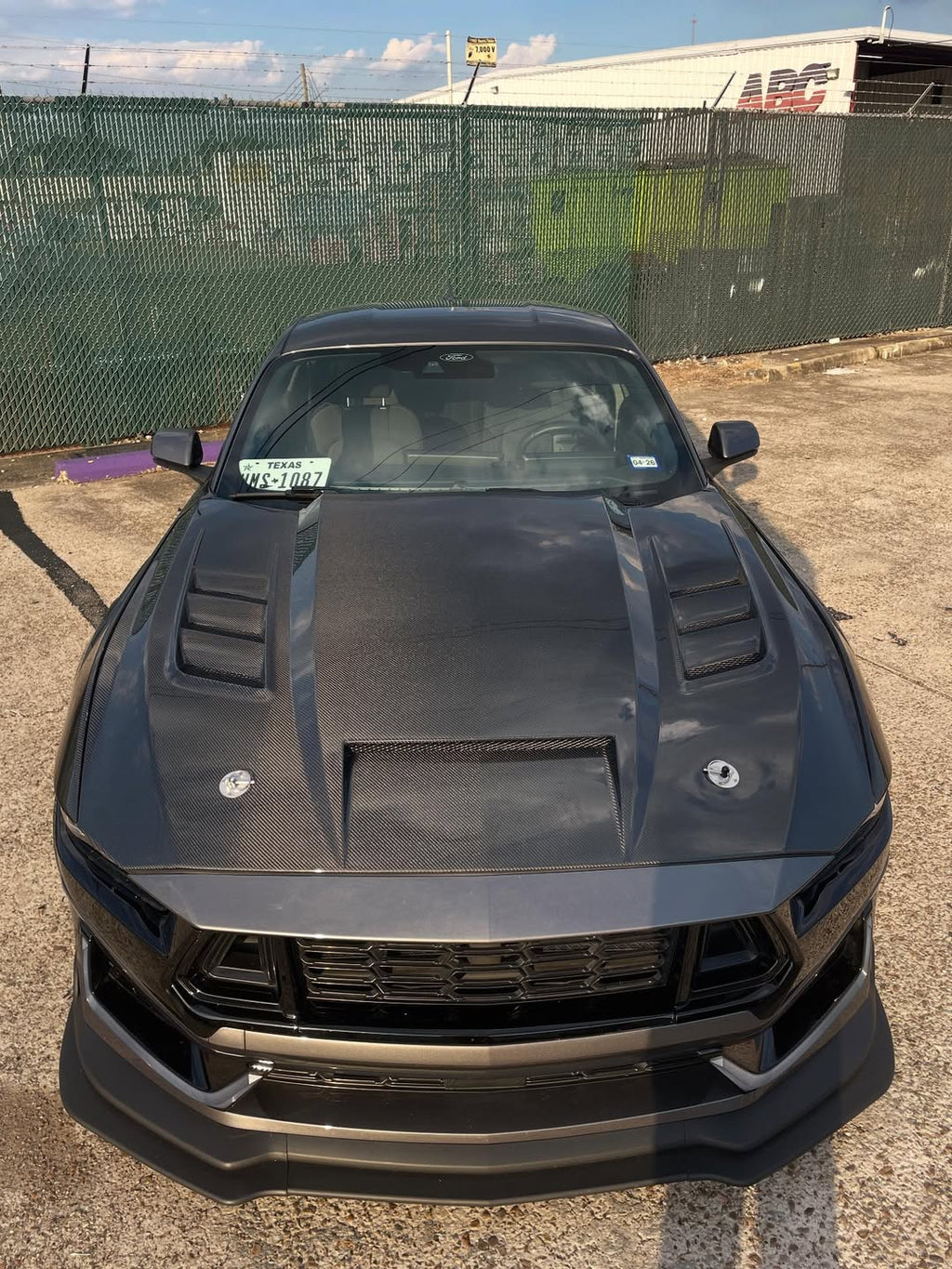 Ford Mustang 2024+ Terminator GT Carbon Fiber Hood