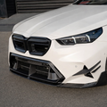 BMW 5 Series G90 / G99 SQ-B Front Lower Grille - Carbon Fiber