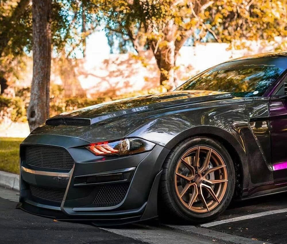 2018-2023 Ford Mustang GT Carbon Fiber Fenders - Pair