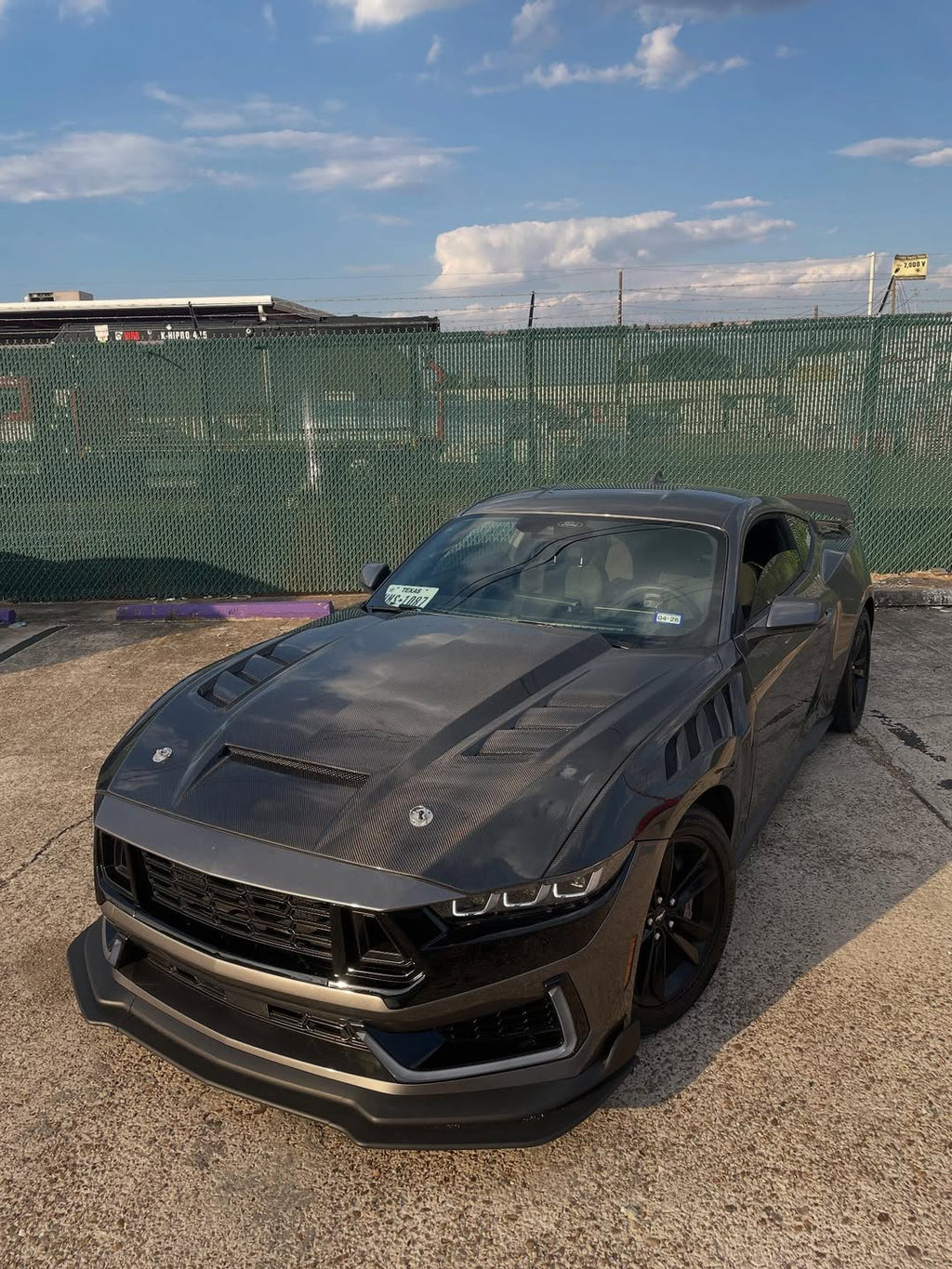 Ford Mustang 2024+ Terminator GT Carbon Fiber Hood