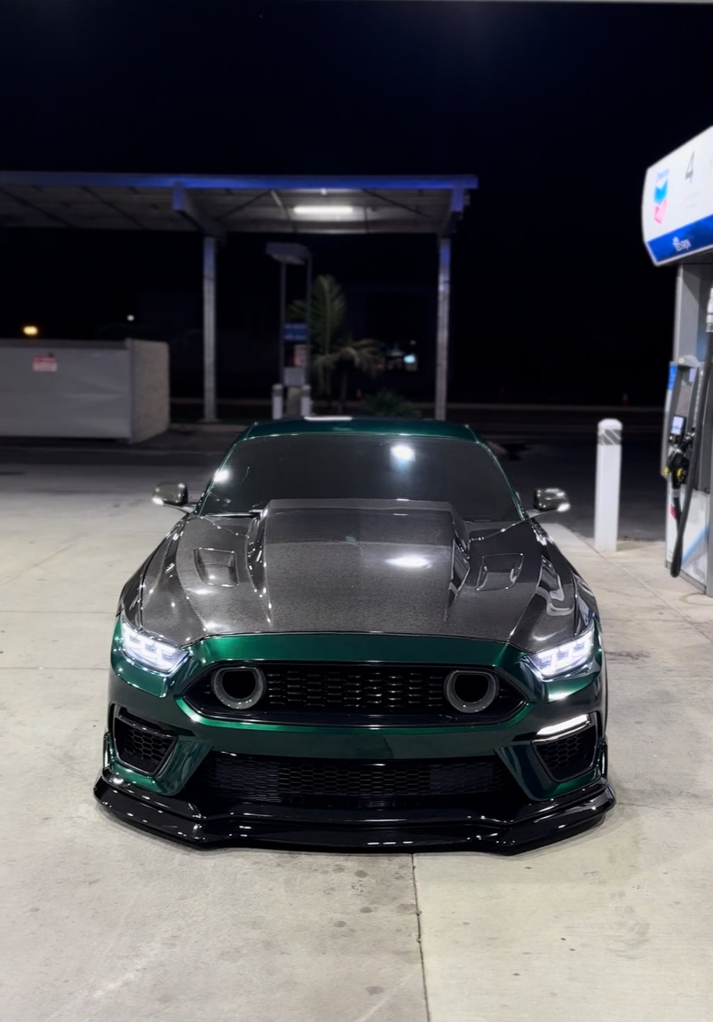 2015-2017 Ford Mustang VS Cowl Hood - Carbon Fiber