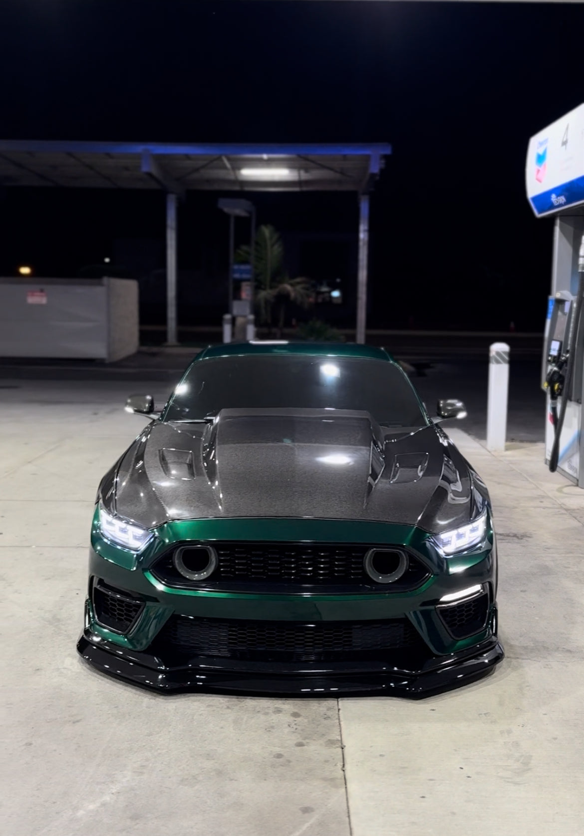 2015-2017 Ford Mustang VS Cowl Hood - Carbon Fiber